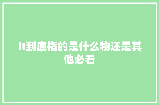 it到底指的是什么物还是其他必看 神马SEO