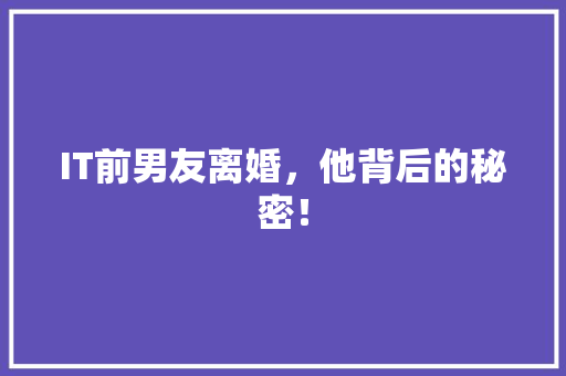 IT前男友离婚，他背后的秘密！ 搜狗SEO