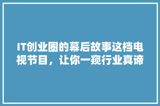 IT创业圈的幕后故事这档电视节目，让你一窥行业真谛！ 网站建设公司