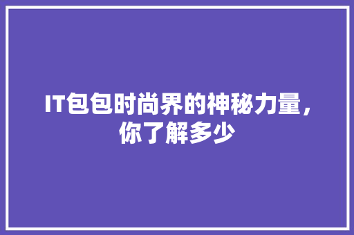 IT包包时尚界的神秘力量，你了解多少 网站建设公司