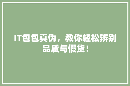 IT包包真伪，教你轻松辨别品质与假货！ 搜狗SEO