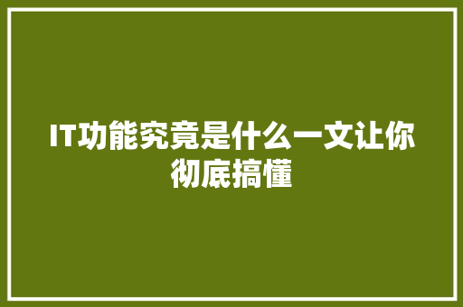 IT功能究竟是什么一文让你彻底搞懂 网站建设公司
