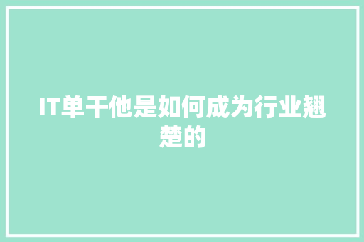 IT单干他是如何成为行业翘楚的 网站建设公司