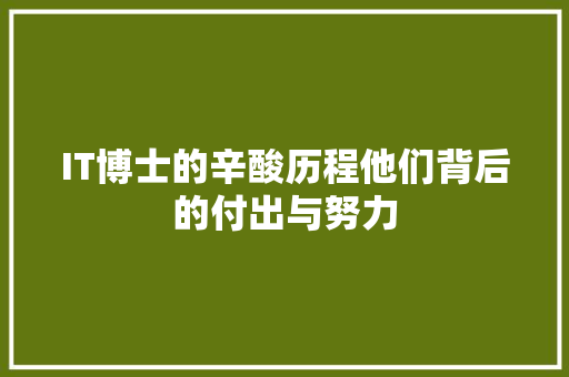 IT博士的辛酸历程他们背后的付出与努力 百度SEO