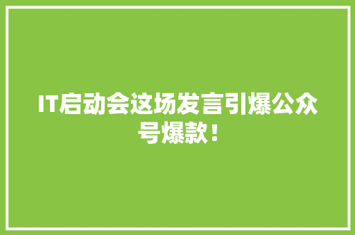 IT启动会这场发言引爆公众号爆款！ 神马SEO