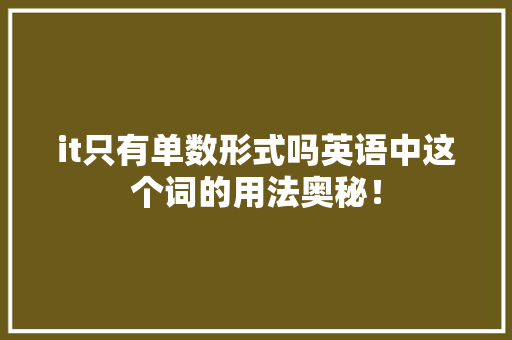 it只有单数形式吗英语中这个词的用法奥秘！ 神马SEO