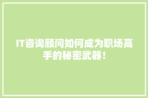 IT咨询顾问如何成为职场高手的秘密武器！ 网站建设公司