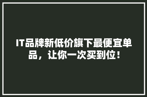 IT品牌新低价旗下最便宜单品，让你一次买到位！ SEO关键词