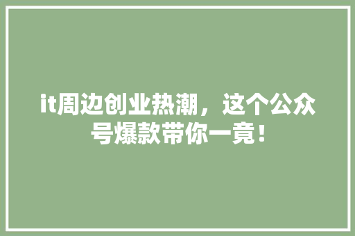 it周边创业热潮，这个公众号爆款带你一竟！ 网站建设公司