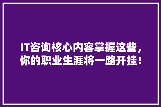 IT咨询核心内容掌握这些，你的职业生涯将一路开挂！ SEO关键词