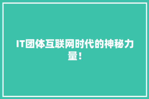 IT团体互联网时代的神秘力量！ 网站建设公司