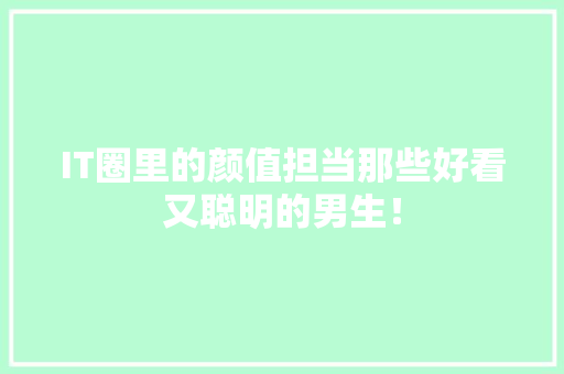 IT圈里的颜值担当那些好看又聪明的男生！ 神马SEO