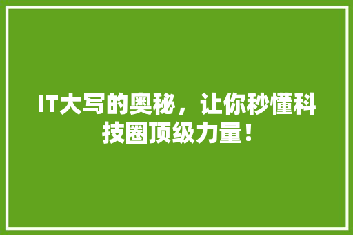 IT大写的奥秘，让你秒懂科技圈顶级力量！ 网站建设公司