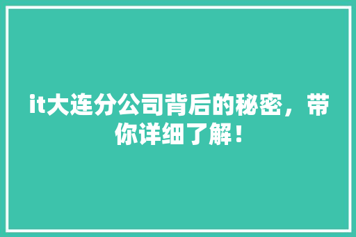 it大连分公司背后的秘密，带你详细了解！ 神马SEO