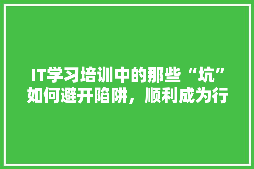 IT学习培训中的那些“坑”如何避开陷阱，顺利成为行业精英 神马SEO