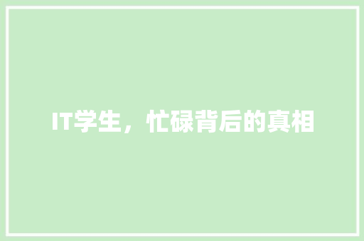 IT学生，忙碌背后的真相 搜狗SEO