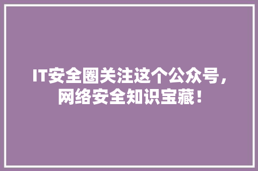 IT安全圈关注这个公众号，网络安全知识宝藏！ 网站建设公司