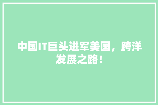 中国IT巨头进军美国，跨洋发展之路！ SEO关键词