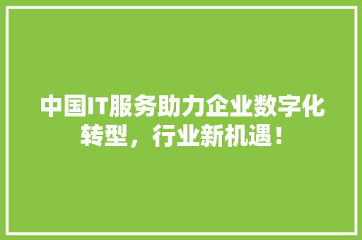 中国IT服务助力企业数字化转型，行业新机遇！ 必应SEO