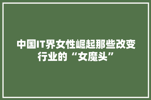 中国IT界女性崛起那些改变行业的“女魔头”