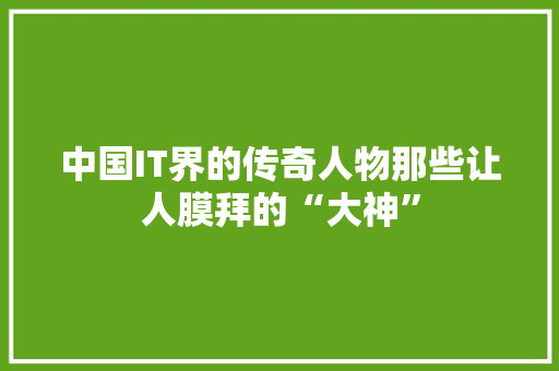 中国IT界的传奇人物那些让人膜拜的“大神” 神马SEO