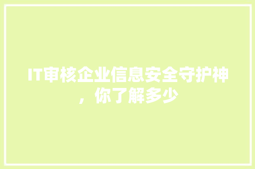 IT审核企业信息安全守护神，你了解多少 网站建设公司