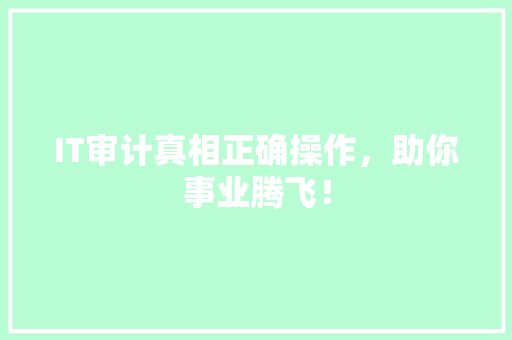 IT审计真相正确操作，助你事业腾飞！ SEO关键词