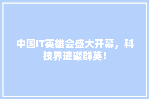 中国IT英雄会盛大开幕，科技界璀璨群英！ 必应SEO