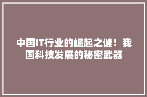 中国IT行业的崛起之谜！我国科技发展的秘密武器 搜狗SEO