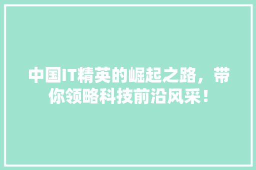 中国IT精英的崛起之路，带你领略科技前沿风采！ SEO关键词