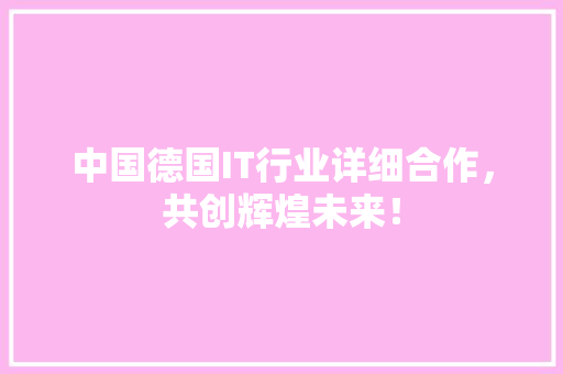 中国德国IT行业详细合作，共创辉煌未来！