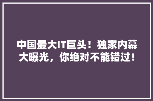 中国最大IT巨头！独家内幕大曝光，你绝对不能错过！ SEO关键词