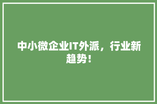 中小微企业IT外派，行业新趋势！ 搜狗SEO