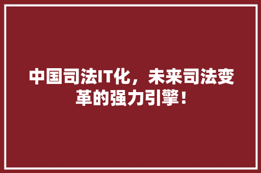 中国司法IT化，未来司法变革的强力引擎！ SEO关键词