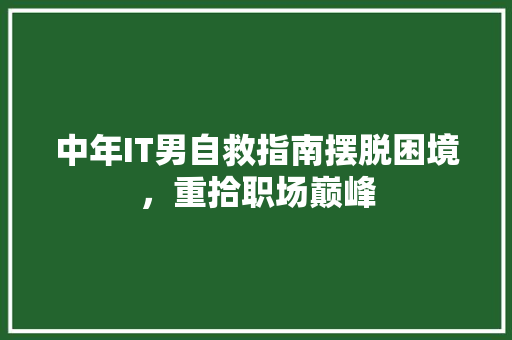 中年IT男自救指南摆脱困境，重拾职场巅峰 搜狗SEO