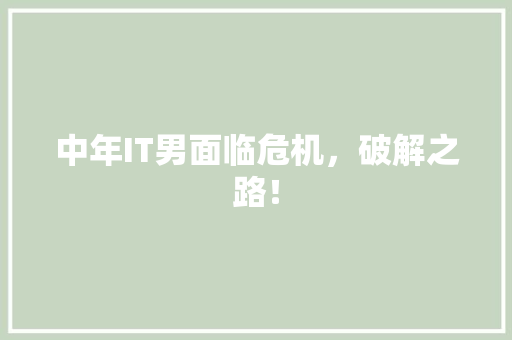 中年IT男面临危机，破解之路！ 网站建设公司