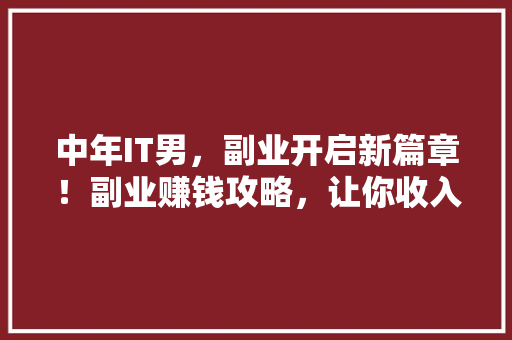 中年IT男，副业开启新篇章！副业赚钱攻略，让你收入翻倍！ 百度SEO