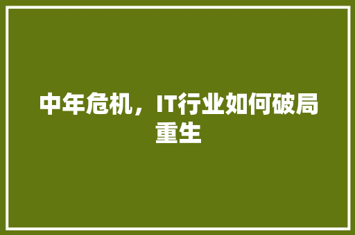 中年危机，IT行业如何破局重生 搜狗SEO