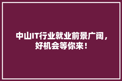 中山IT行业就业前景广阔，好机会等你来！ 必应SEO