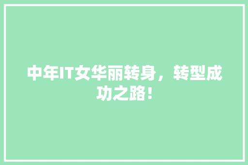 中年IT女华丽转身，转型成功之路！ 必应SEO