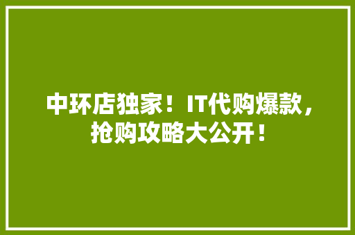 中环店独家！IT代购爆款，抢购攻略大公开！ 网站建设公司