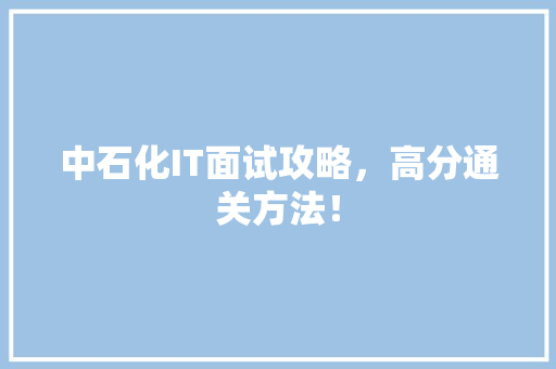 中石化IT面试攻略，高分通关方法！ SEO关键词