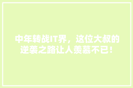 中年转战IT界，这位大叔的逆袭之路让人羡慕不已！ 必应SEO