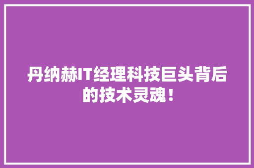 丹纳赫IT经理科技巨头背后的技术灵魂！ 必应SEO