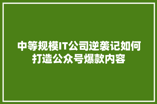 中等规模IT公司逆袭记如何打造公众号爆款内容 搜狗SEO