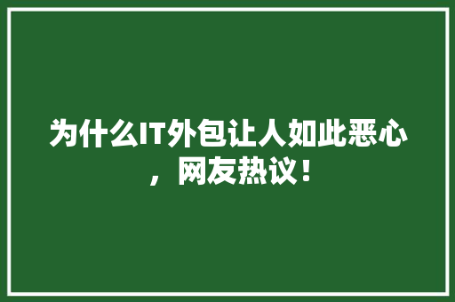为什么IT外包让人如此恶心，网友热议！ SEO关键词