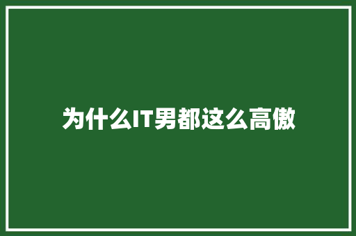 为什么IT男都这么高傲 网站建设公司