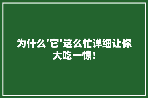 为什么‘它’这么忙详细让你大吃一惊！ 必应SEO