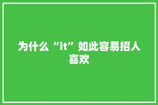 为什么“it”如此容易招人喜欢 百度SEO