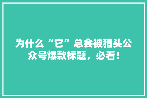 为什么“它”总会被猎头公众号爆款标题，必看！ 网站建设公司